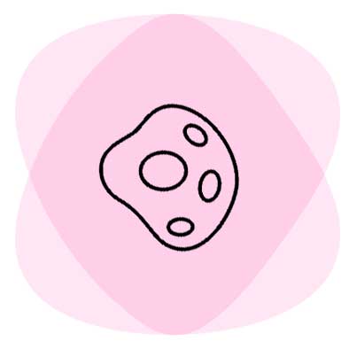 Speciality Programmes