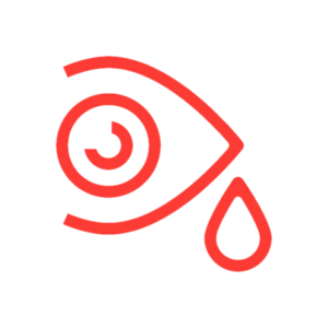 cornea