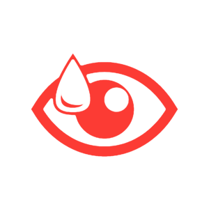 cornea