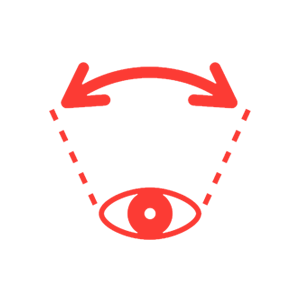 cornea