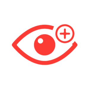 cornea
