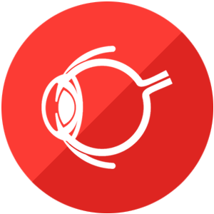 eye