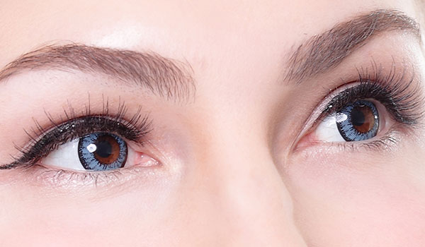 vitreo Retina